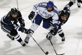 张雨霏冲刺蝶泳获好成绩，蝶泳冠军张雨霏是哪里人